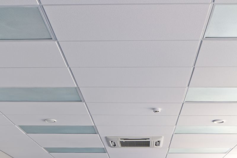 Ceiling Removal Service in Santa Rosa, CA